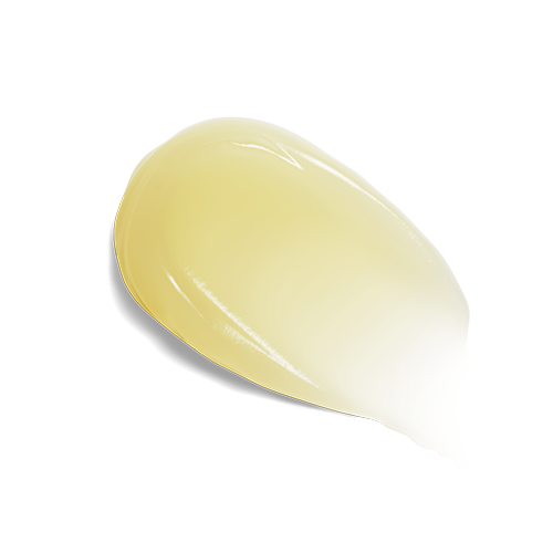 rnr3.webp