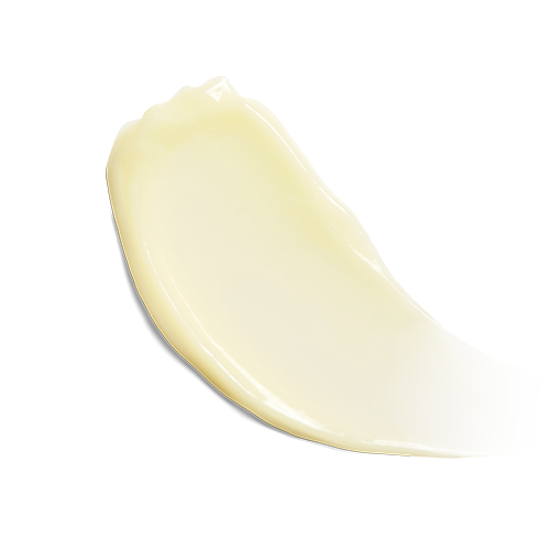 wtrepair3.webp